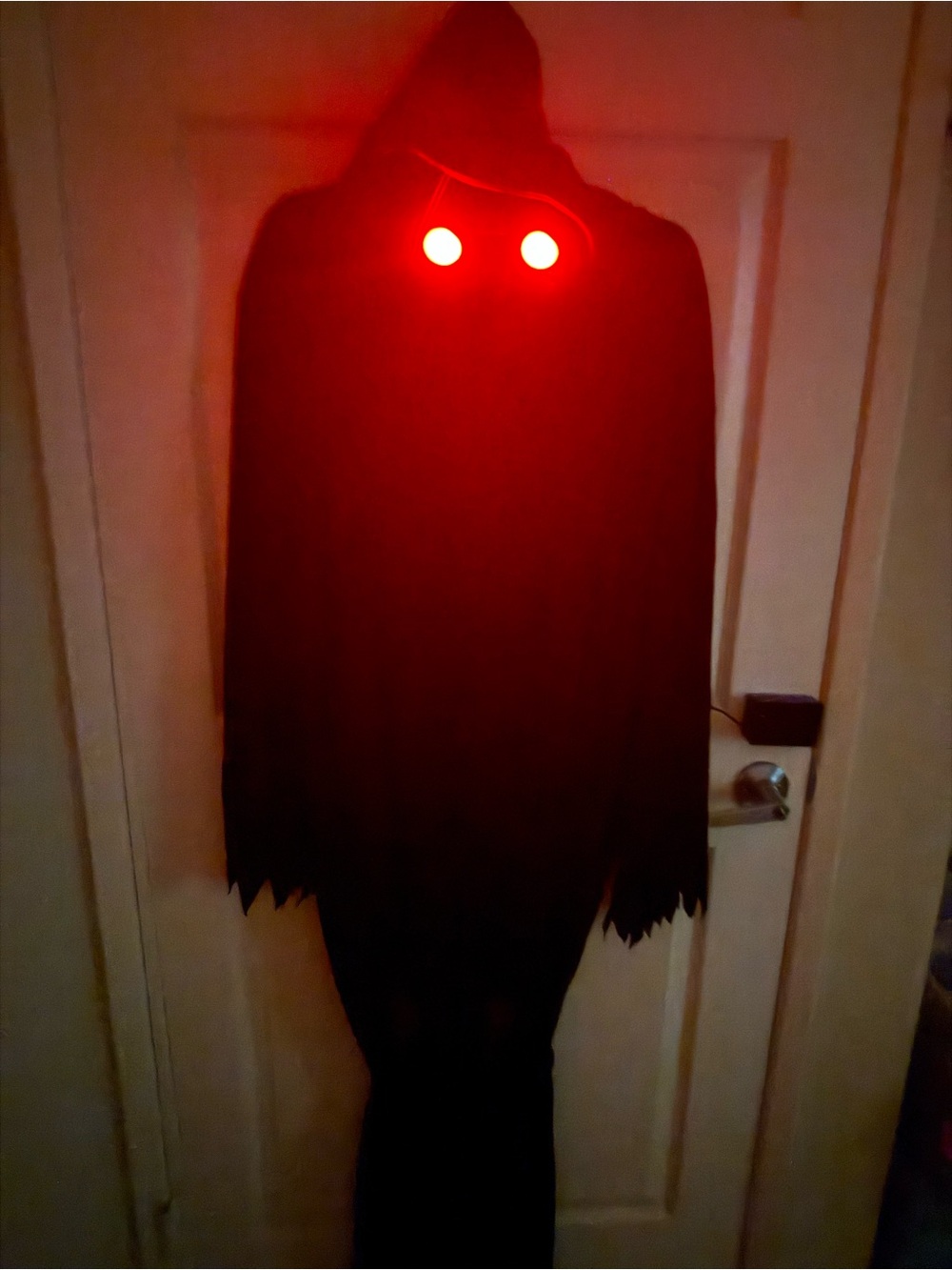 Black Hooded LED-Eye Mens Costume